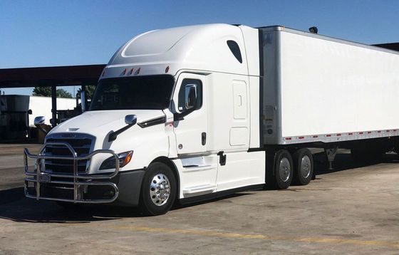 Una guardia di 304 di acciaio inossidabile cervi del camion