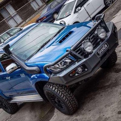 Acciaio Front Bull Bar For Toyota Hilux Revo Vigo Nissan Navara Np di Wholesale Powder Coated del produttore dell'OEM 300 D40